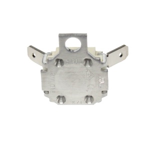 картинка Термостат пароочистителя в Сервисном центре «Близнецов»